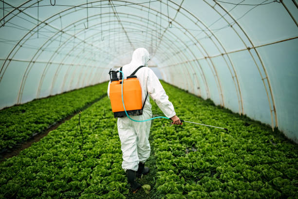 Best Pest Removal Services  in Bruceton, TN