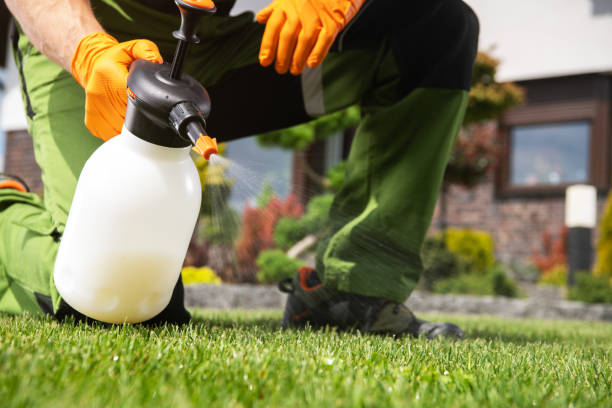 Best Insect Control  in Bruceton, TN