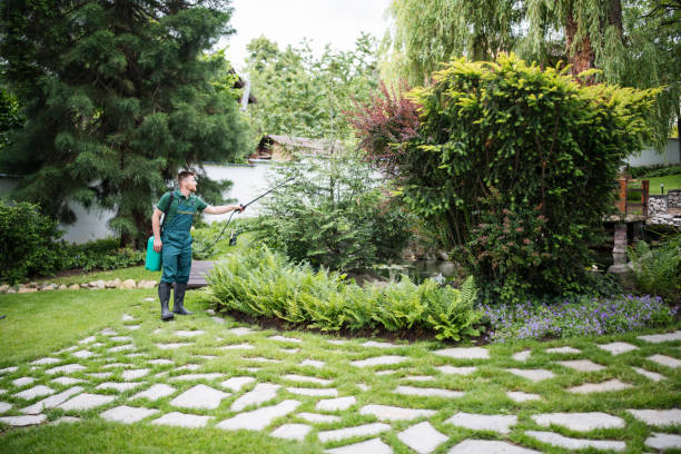 Reliable Bruceton, TN Pest Control Solutions