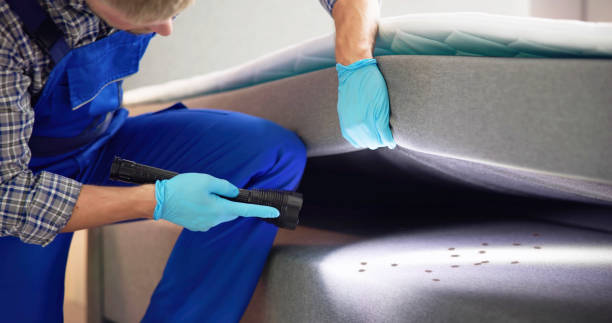 Best Ant Control Services  in Bruceton, TN