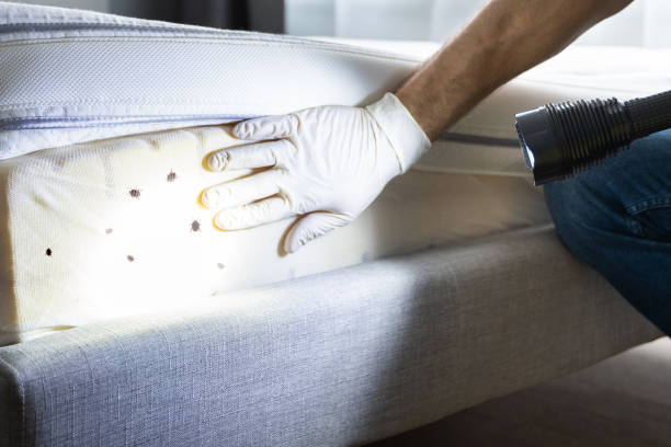 Best Exterminator Services  in Bruceton, TN