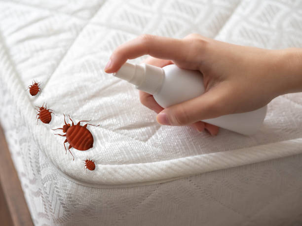 Best Bed Bug Extermination  in Bruceton, TN