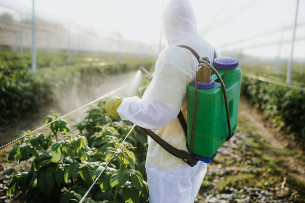 Best Flea Control Services  in Bruceton, TN